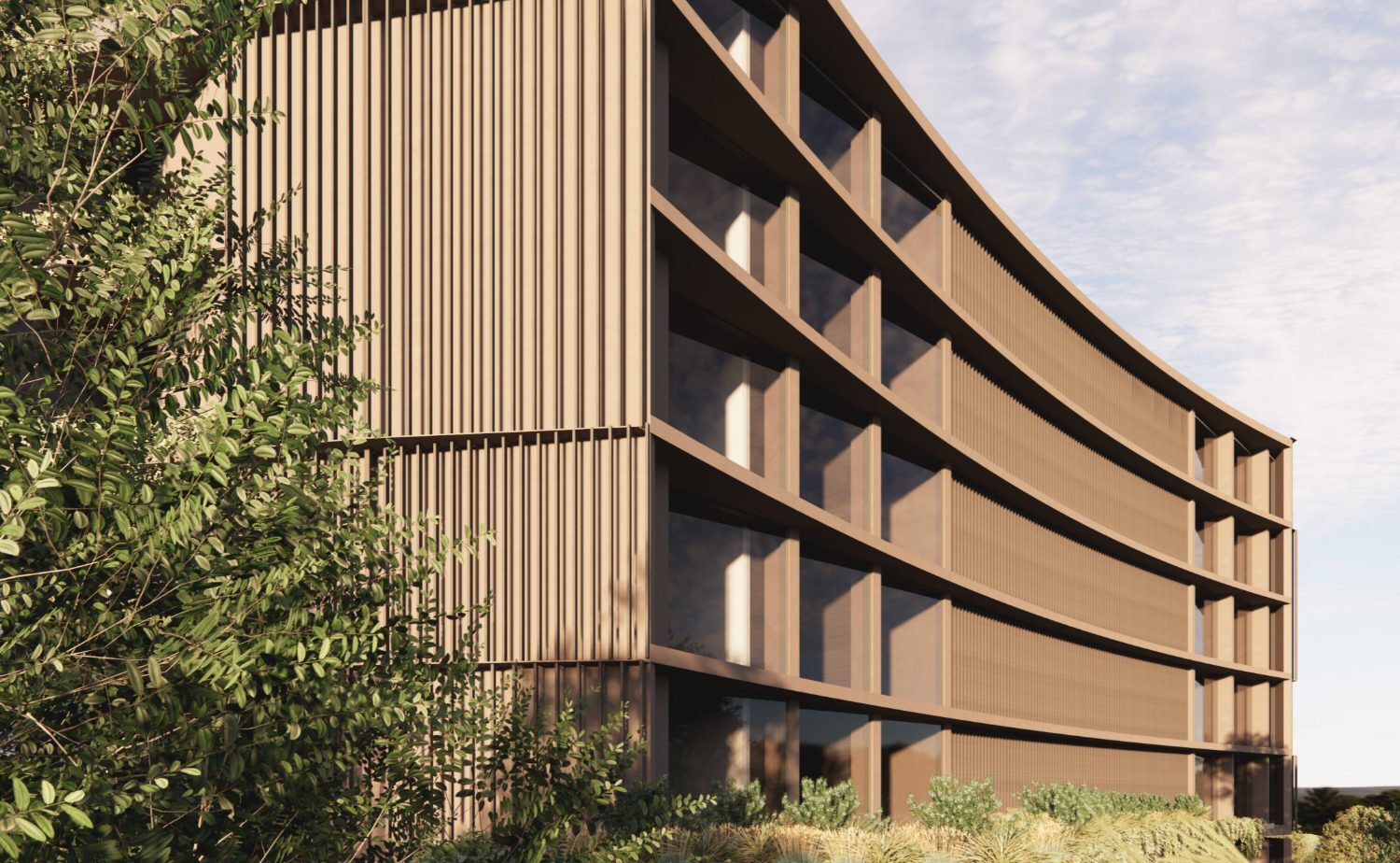 Basq Development detail